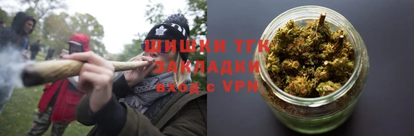 гидра Бородино