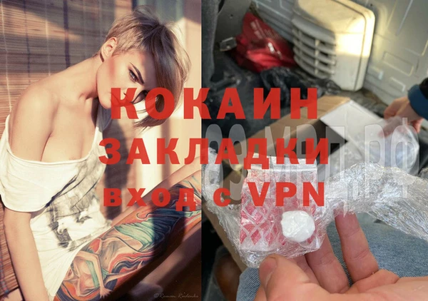 гидра Бородино