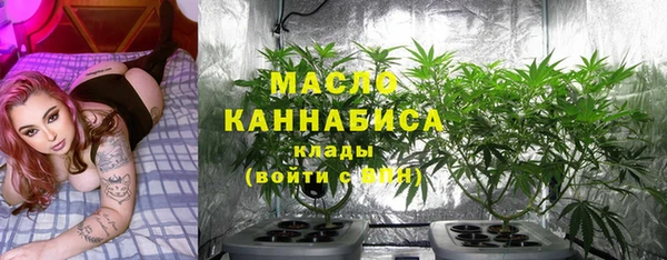 гидра Бородино