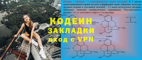 гидра Бородино
