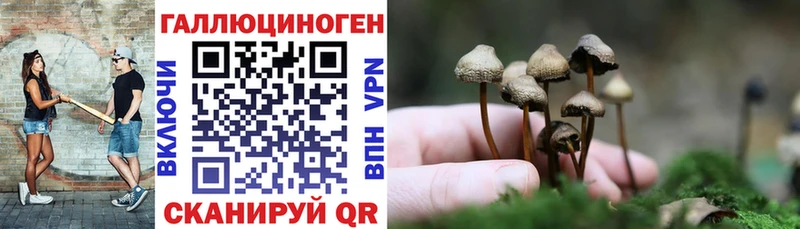 Купить где  Верхняя Тура  Галлюциногенные грибы MAGIC MUSHROOMS 